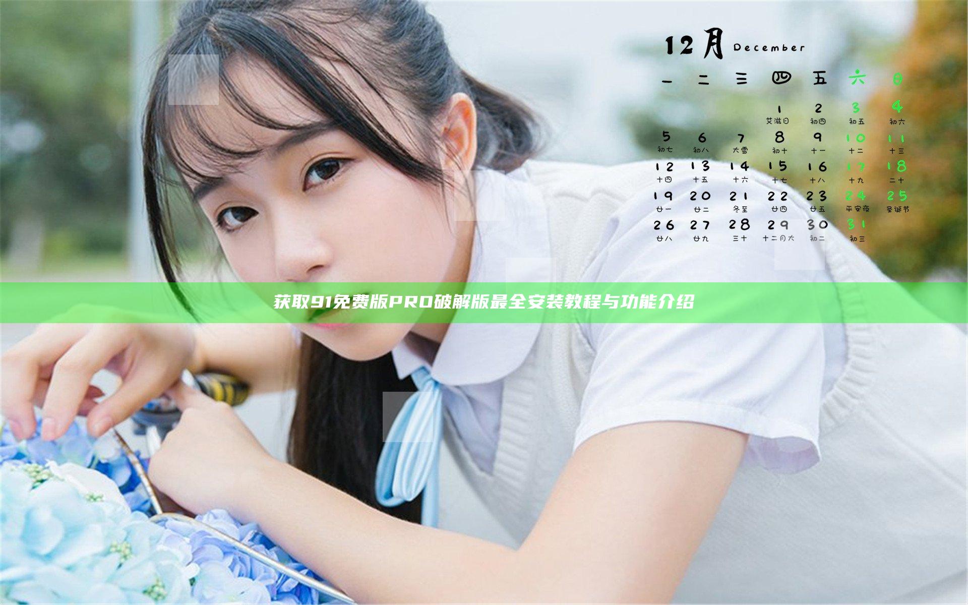 获取9 1免费版PRO 破解版最全安装教程与功能介绍