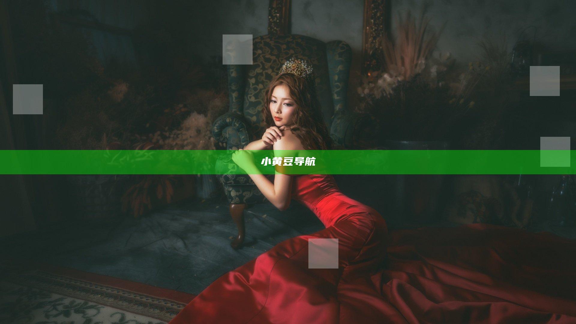 小黄豆导航