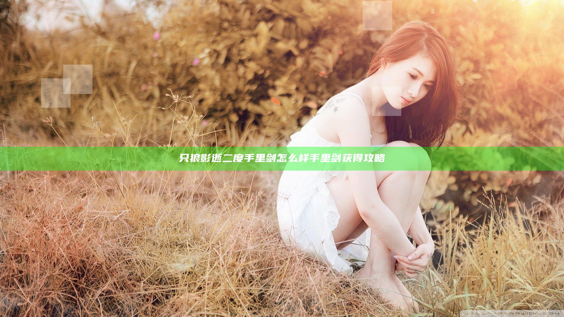 只狼影逝二度手里剑怎么样 手里剑获得攻略