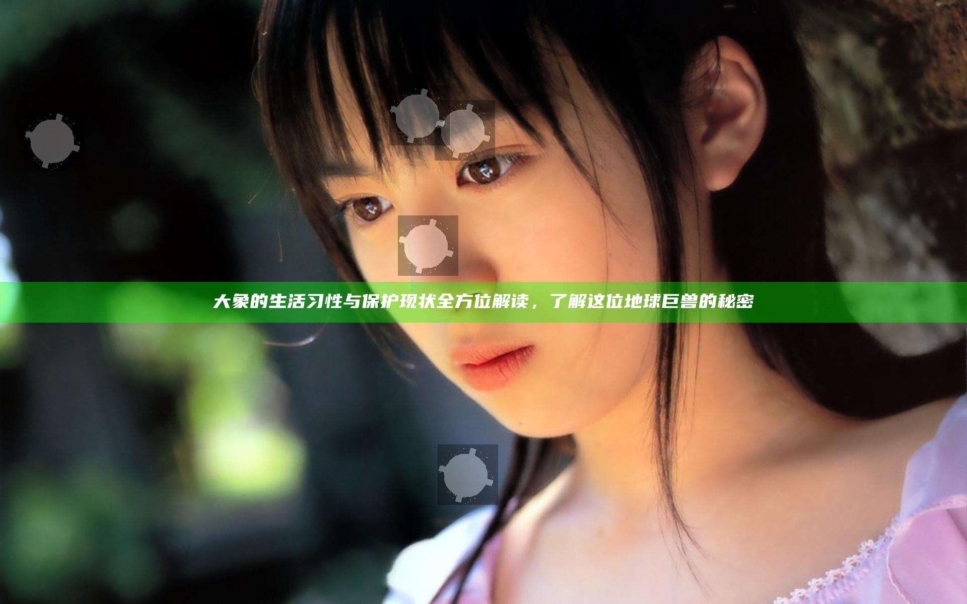 大象的生活习性与保护现状全方位解读，了解这位地球巨兽的秘密