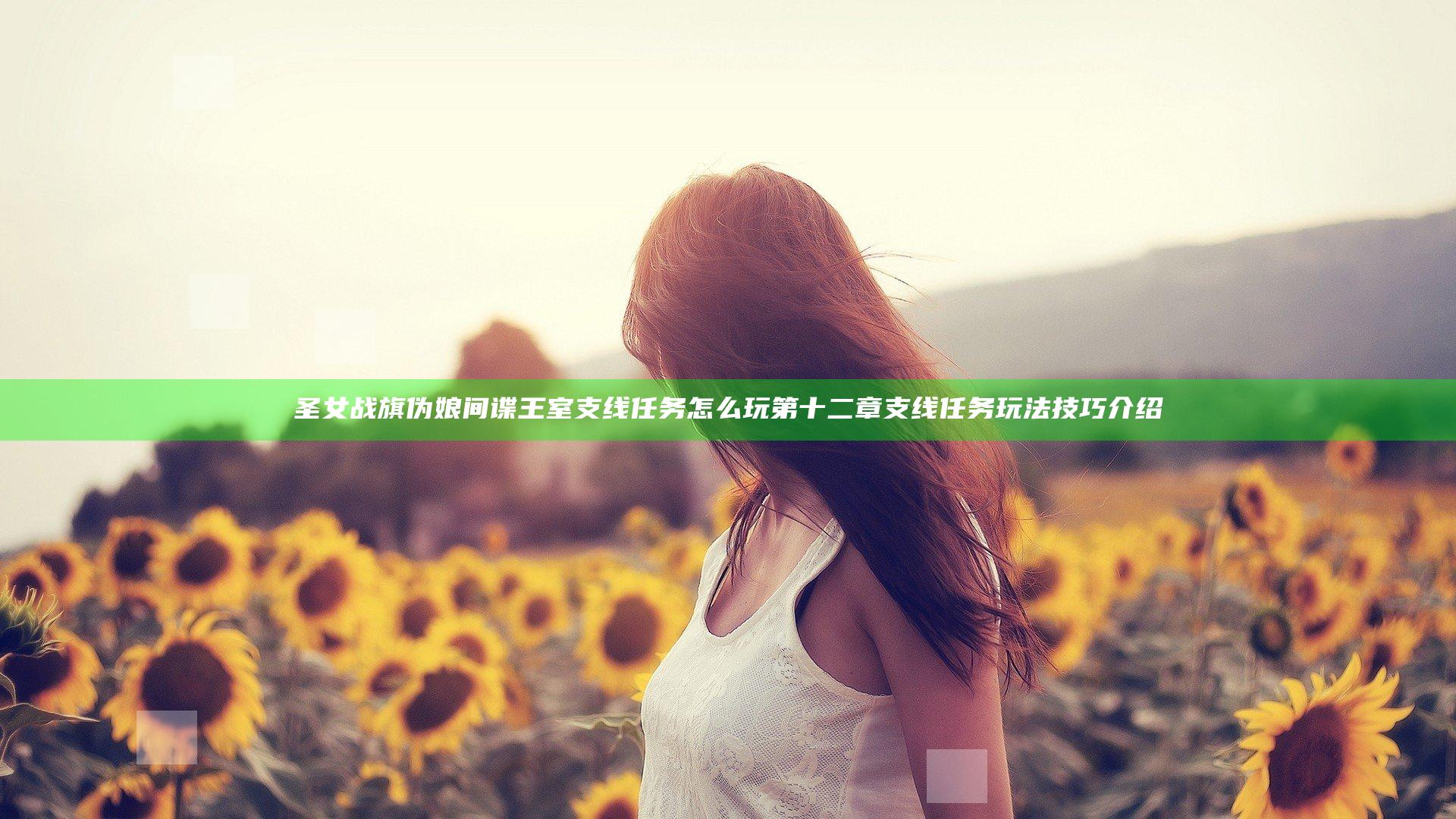 圣女战旗伪娘间谍王室支线任务怎么玩 第十二章支线任务玩法技巧介绍