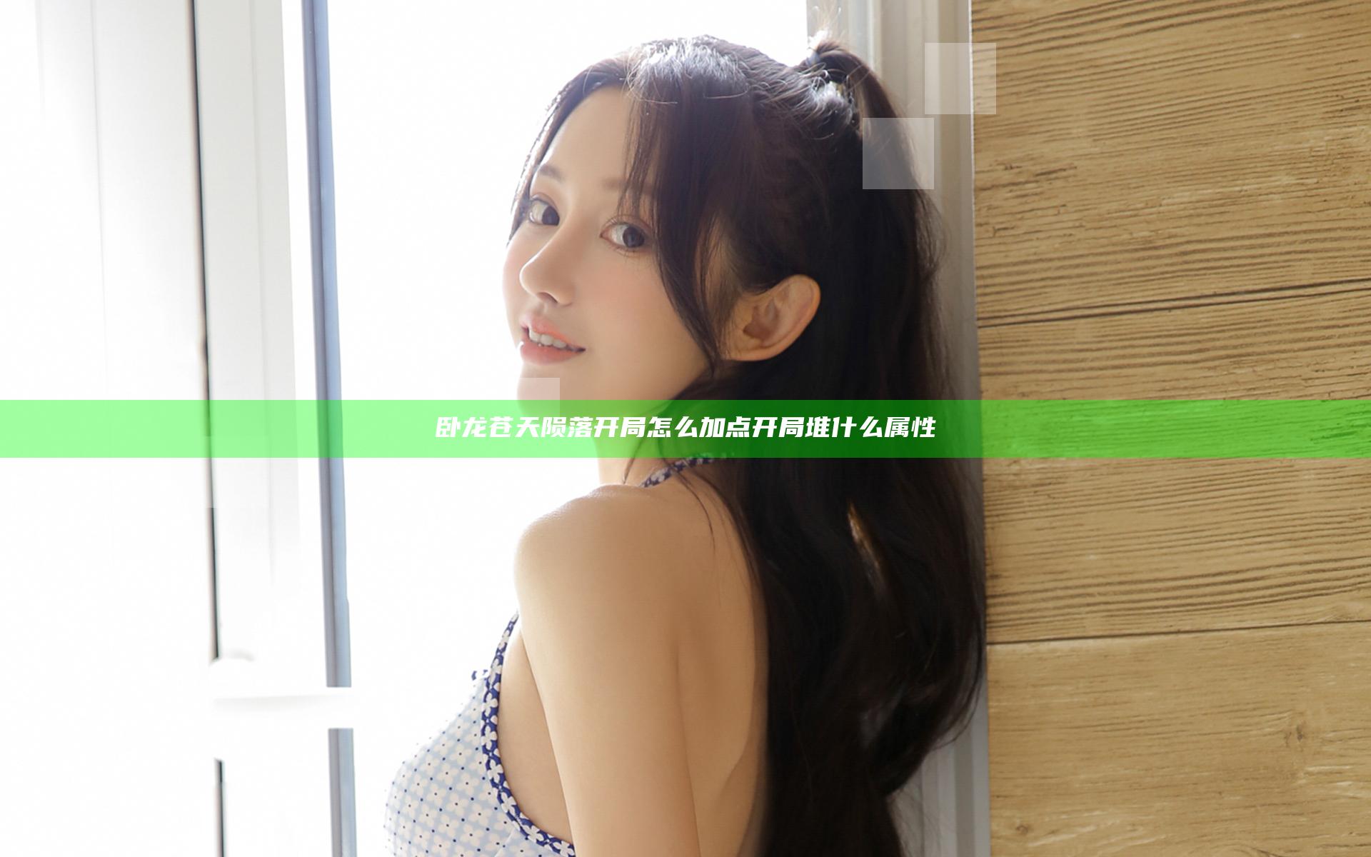 卧龙苍天陨落开局怎么加点 开局堆什么属性