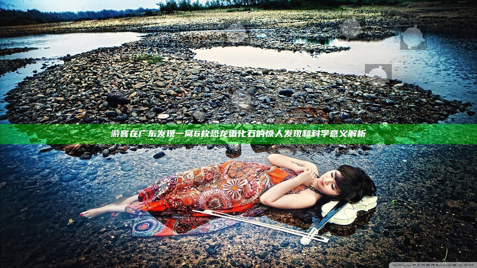 游客在广东发现一窝6枚恐龙蛋化石的惊人发现和科学意义解析