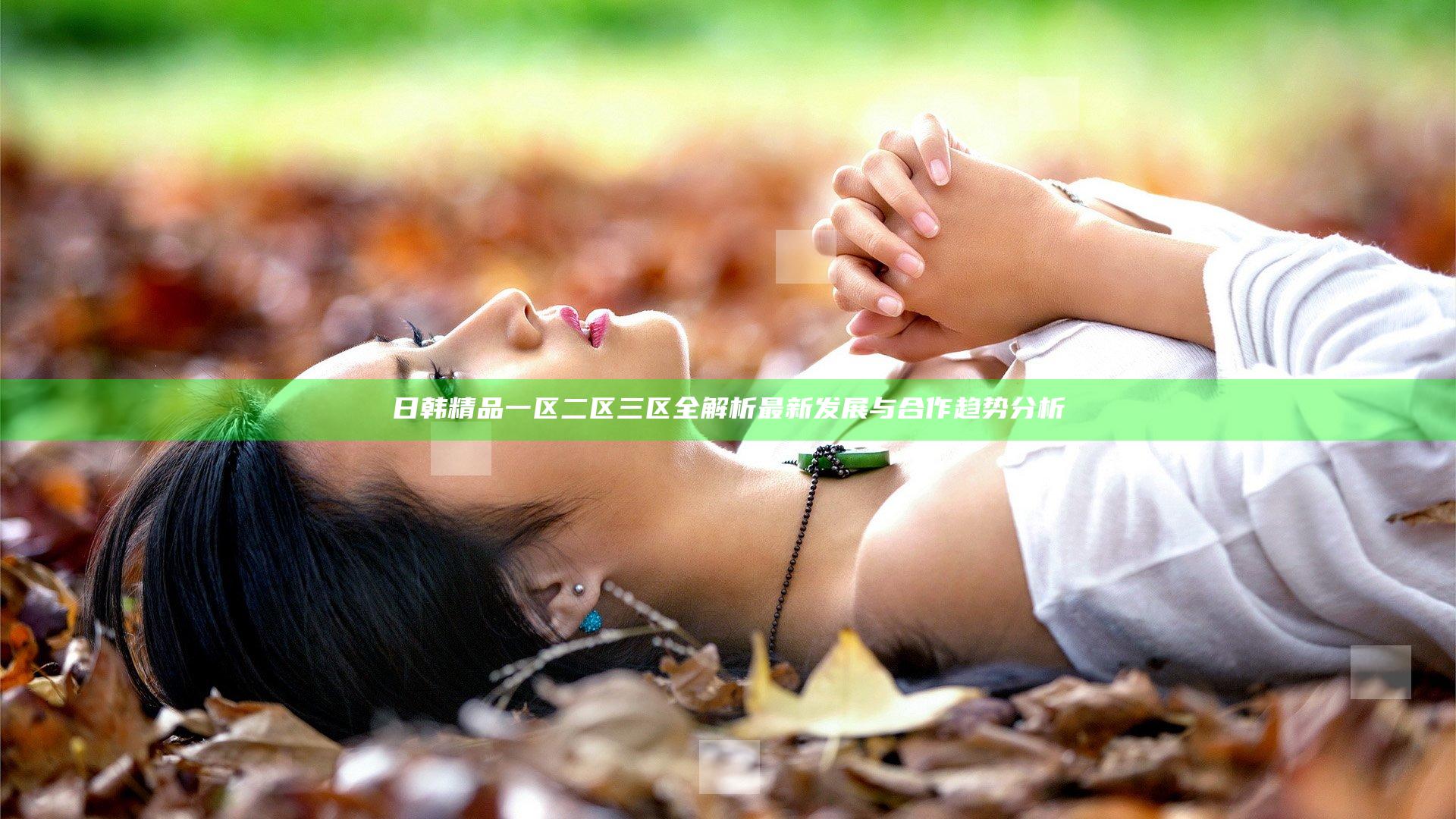 日韩精品一区二区三区全解析 最新发展与合作趋势分析
