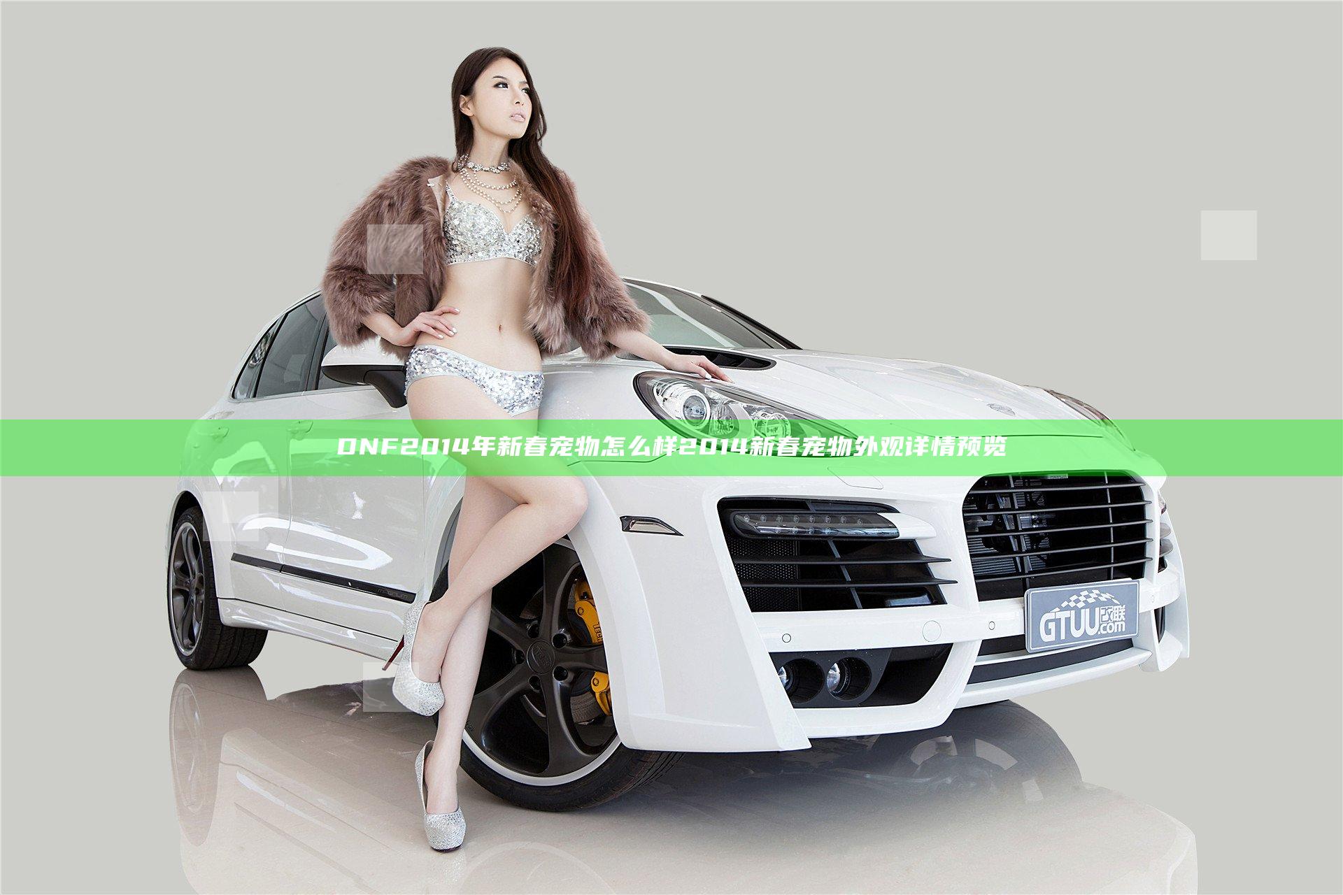 DNF2014年新春宠物怎么样 2014新春宠物外观详情预览